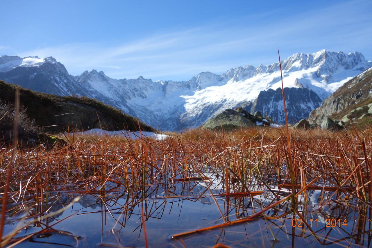 Gasthaus Goescheneralp Goschenen Ngoại thất bức ảnh